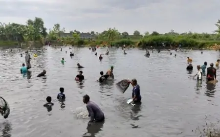 Tradisi Ngubek Srumbung Bulangan, Warga Antusias Tangkap Ikan Berhadiah Puluhan Juta