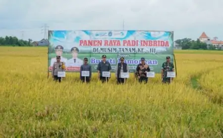 Panen Raya Ketiga Berhasil, Bupati Lamongan: Harga Gabah Rp 7.200