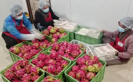 SPPG Badean 2 Layani 3.264 Siswa, Dipimpin Kepala Muda Berusia 24 Tahun