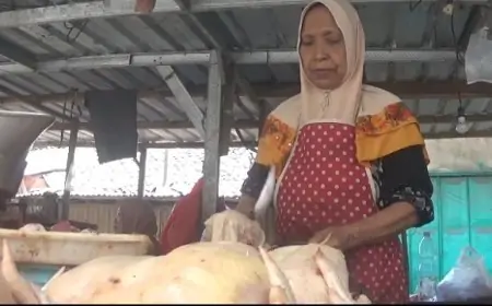Harga  Daging Ayam Melambung Tinggi