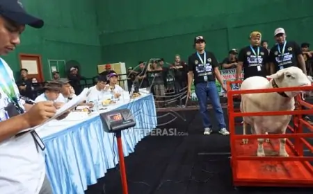 Kontes Domba Nasional Piala Menteri Imipas Digelar di Tulungagung, Dorong Ketahanan Pangan dan Penguatan UMKM