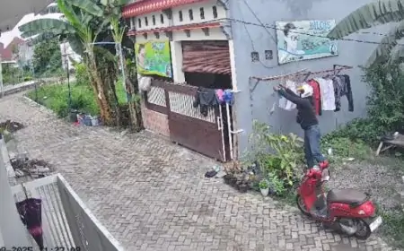 Viral Terekam CCTV Aksi Mencuri Pakaian Dalam di Jemuran