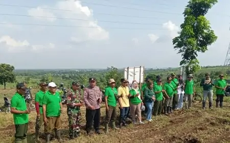 Perhutani KPH Jombang Galang Kolaborasi, Tanam Sengon Serentak di Awal Musim Penghujan