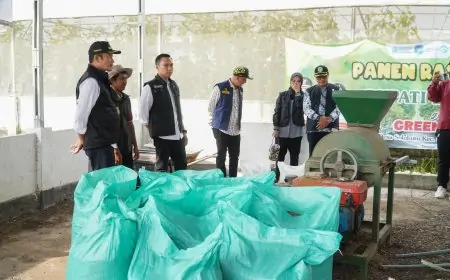 Pak Yes Dorong Petani Milenial Dominasi Sektor Agribisnis