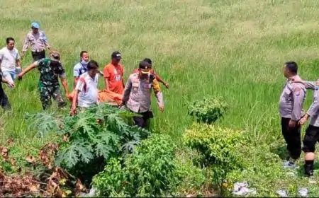Cari Rumput, Warga Lamongan Ditemukan Tewas