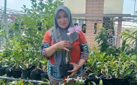 Bisnis Tanaman Hias Eksotis, Petani Anggrek Jombang Panen Cuan