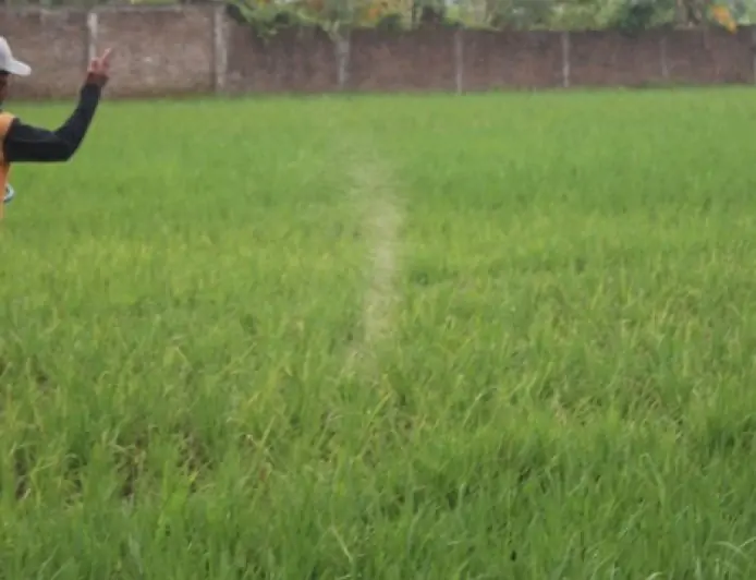 HKTI Jombang Minta Distribusi Pupuk  Diperbaiki