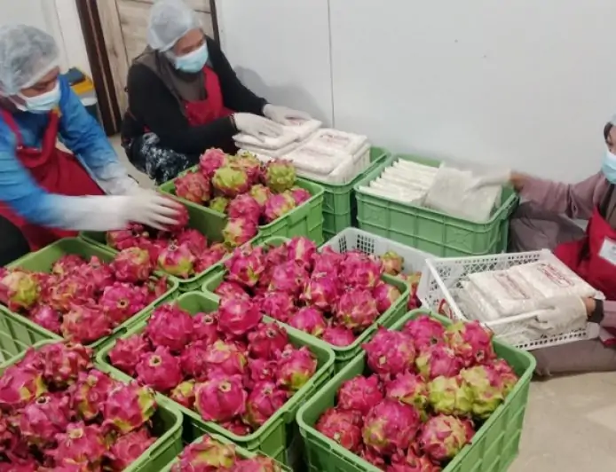 SPPG Badean 2 Layani 3.264 Siswa, Dipimpin Kepala Muda Berusia 24 Tahun