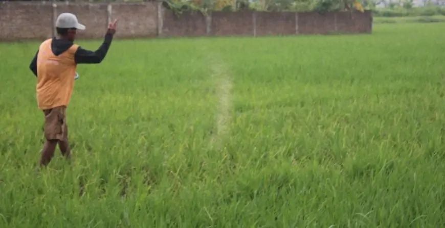 HKTI Jombang Minta Distribusi Pupuk  Diperbaiki