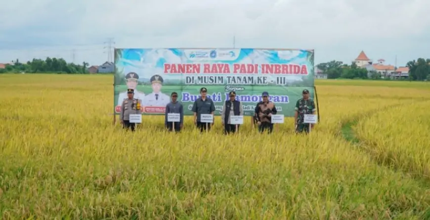 Panen Raya Ketiga Berhasil, Bupati Lamongan: Harga Gabah Rp 7.200