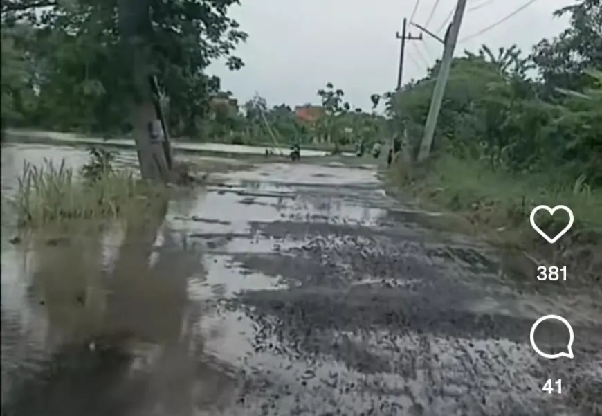 Konser Seniora, Warga Soroti Prioritas Anggaran hingga Voucher Umroh