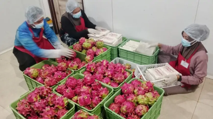 SPPG Badean 2 Layani 3.264 Siswa, Dipimpin Kepala Muda Berusia 24 Tahun