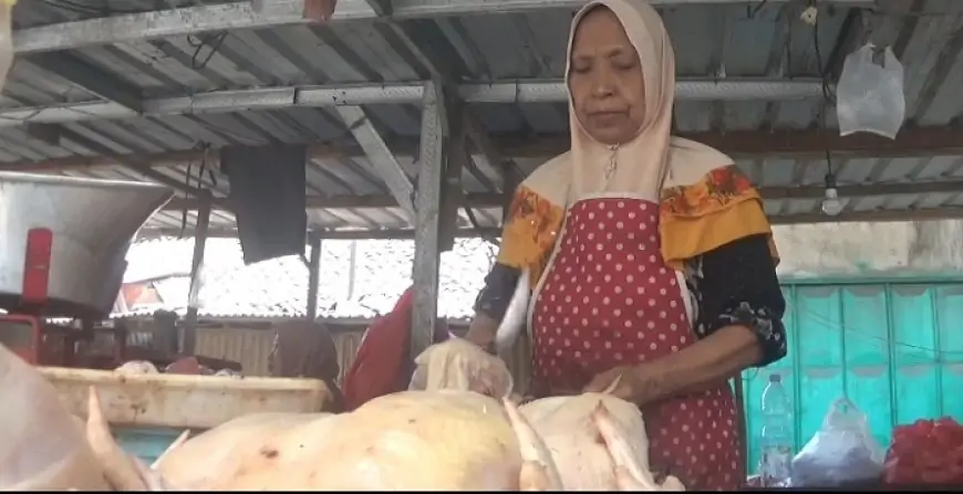 Harga  Daging Ayam Melambung Tinggi