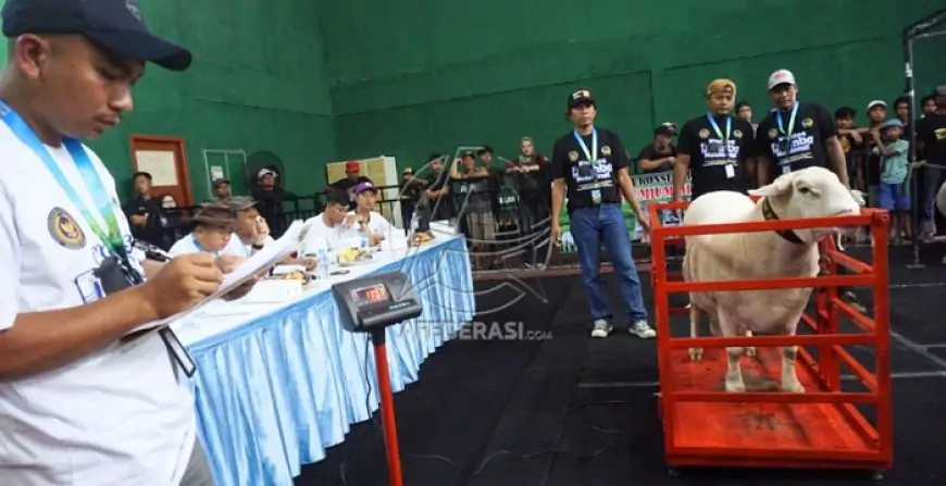 Kontes Domba Nasional Piala Menteri Imipas Digelar di Tulungagung, Dorong Ketahanan Pangan dan Penguatan UMKM