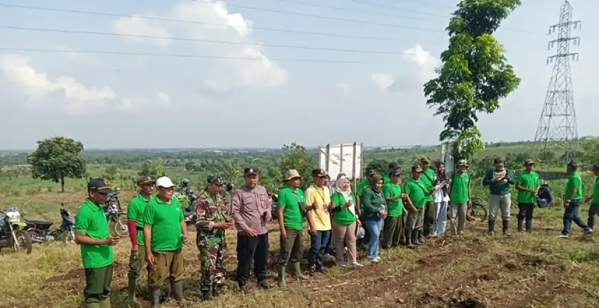Perhutani KPH Jombang Galang Kolaborasi, Tanam Sengon Serentak di Awal Musim Penghujan
