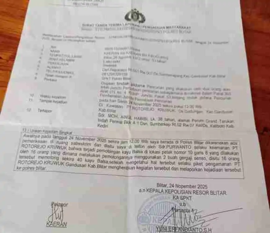 Pemotongan Kayu di PT Rotorejo Kruwok: Pelaporan Pencurian Berujung Saling Bantah Soal Surat Tugas dan Pembayaran