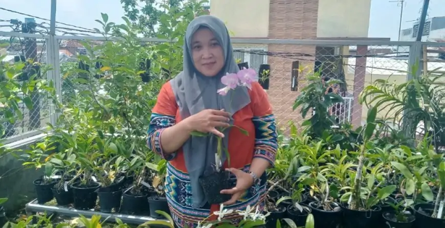 Bisnis Tanaman Hias Eksotis, Petani Anggrek Jombang Panen Cuan