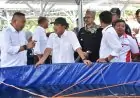 Situbondo Ditunjuk Jadi Kampung Lobster Nasional, Pemerintah Siapkan Pilot Project Budidaya Terpadu