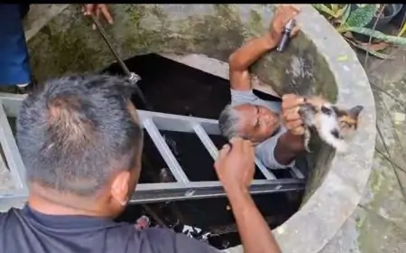 Damkarla Gresik Selamatkan Kucing Tercebur Sumur