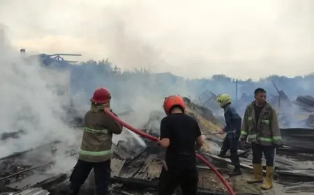 Kandang Ayam Terbakar, 40 Ribu Ekor Ayam Seharga  3,4 Miliar Terpanggang