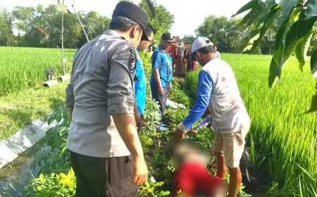 ODGJ di Lamongan Tewas, Jadi Korban Jebakan Tikus
