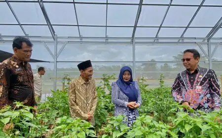 Greenhouse Kawitan Berdaya Resmi Jadi Ikon Tematik Desa Sirnoboyo