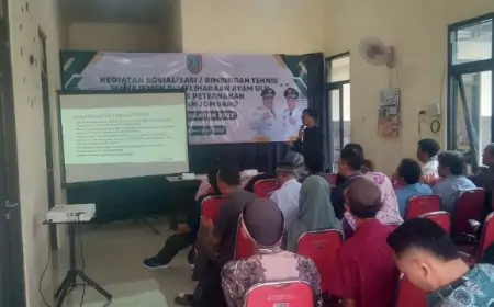 Dinas Peternakan Jombang Gelar Bimtek Ayam Pedaging, Dukungan Nyata untuk Satu Dusun Satu Wirausaha