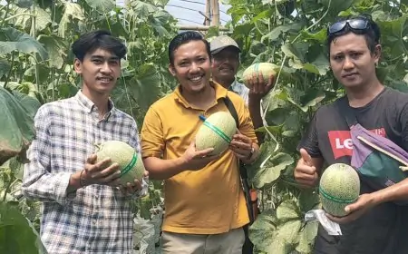 Dua Inovasi Unggulan, Desa Sukodono Berdayakan Ekonomi Warga Lewat Budidaya Melon dan Gerai Sembako