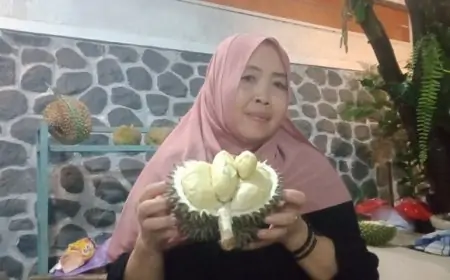 Durian Bido Wonosalam Jadi Buruan Pecinta Durian, Rasanya Khas Manis Pahit