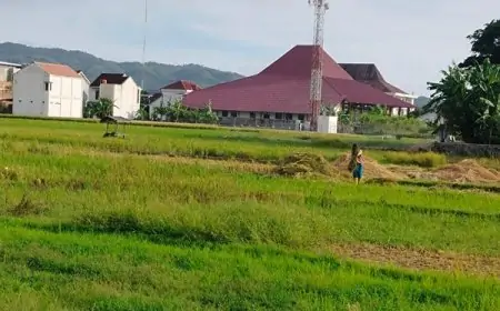 Inovasi Pertanian Pacitan Terus Dijalankan, Regenerasi Petani Masih Menjadi Tantangan