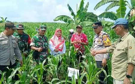 Dukung Asta Cita, Petani Hutan Lamongan Hijaukan 50 Hektar Lahan dengan Tanaman Produktif