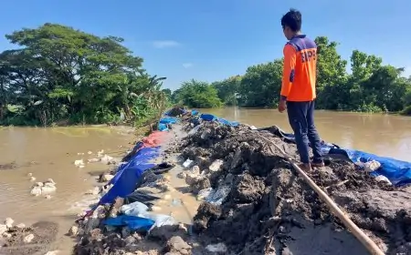 Kali Plalangan Lamongan Meluap, Tanggul Jebol dan Jalan Nasional Lumpuh