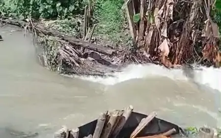 Dua Tanggul Jebol di Cerme, Banjir Luapan Kali Lamong Meluas di Gresik