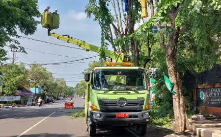 Usai Diterjang Puting Beliung, Pemkab Lamongan Tebang Pohon Rawan Tumbang