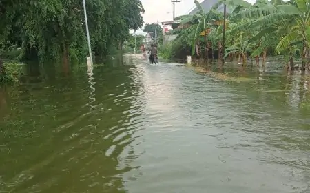 Dampak Tanggul Jebol, Banjir Kali Lamong Meluas Rendam Ratusan Rumah