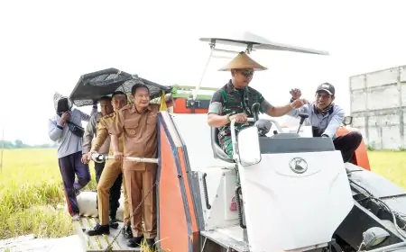 Lampaui Target Nasional, Luas Tambah Tanam Lamongan Capai 192.430 hektar