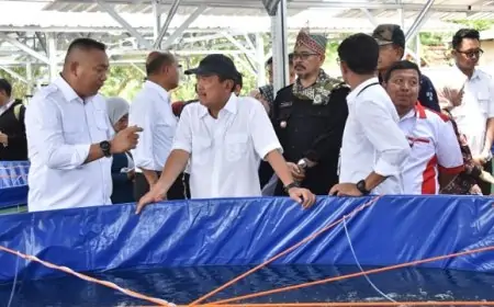 Situbondo Ditunjuk Jadi Kampung Lobster Nasional, Pemerintah Siapkan Pilot Project Budidaya Terpadu
