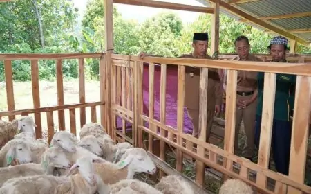 Bupati Madiun Dorong Kemandirian Petani Melalui Bantuan UPPO