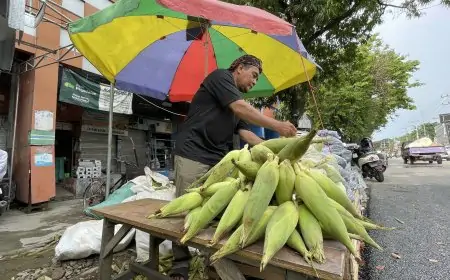 Pedagang Arang dan Jagung Dadakan di Lamongan Raup Berkah Jelang Malam Tahun Baru
