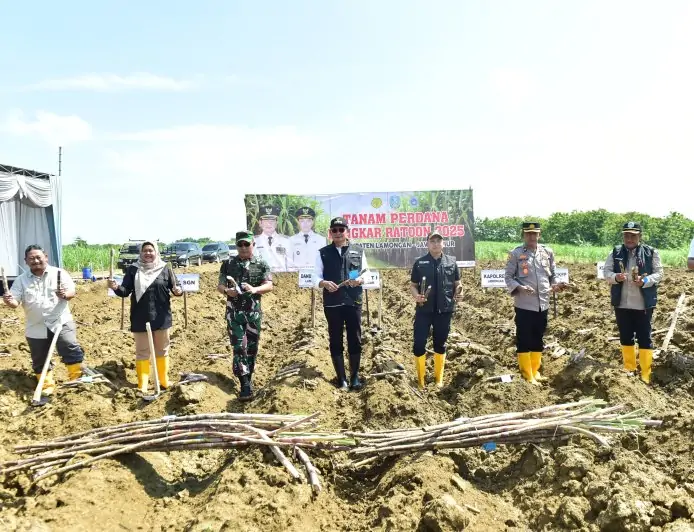 Lamongan Dorong Swasembada Gula Lewat Bongkar Ratoon