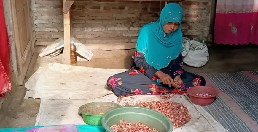 Hidup dari Kupas Bawang Demi Sekolahkan Anak