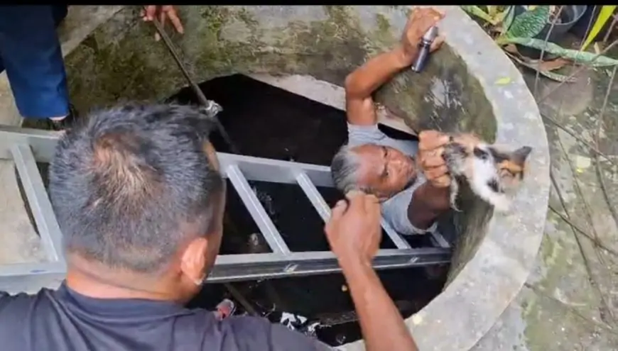 Damkarla Gresik Selamatkan Kucing Tercebur Sumur