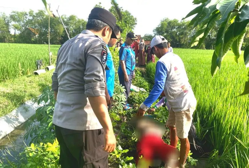 ODGJ di Lamongan Tewas, Jadi Korban Jebakan Tikus