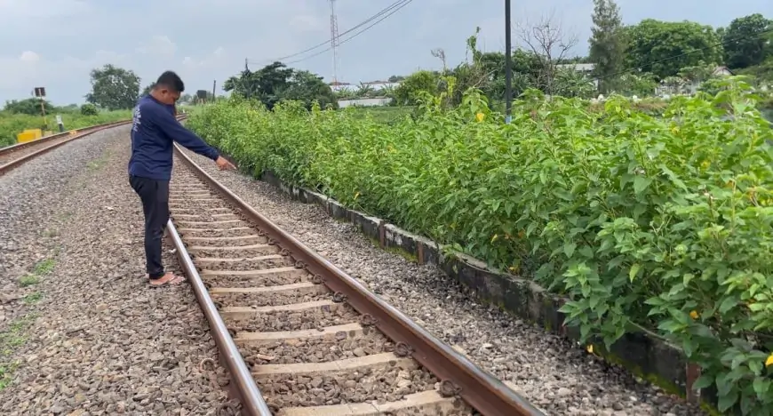 Mayat Pria Lamongan di Pinggir Rel Kereta Diduga Anggota Polisi