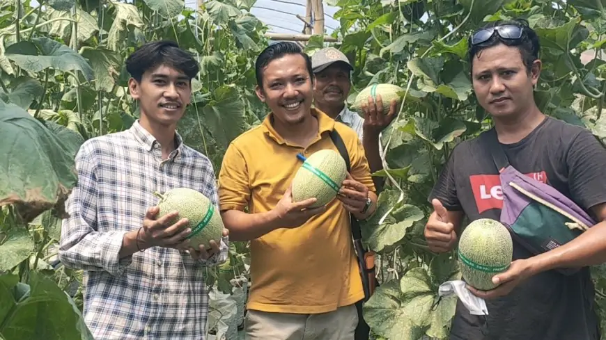 Dua Inovasi Unggulan, Desa Sukodono Berdayakan Ekonomi Warga Lewat Budidaya Melon dan Gerai Sembako