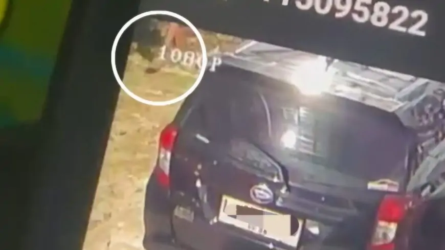 Penyanyi Dangdut Lamongan Kemalingan, Handphone 25 Juta Raib