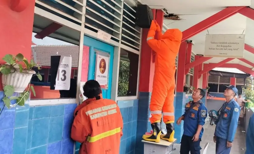 Sengatan Tawon Ancam Siswa SD, Damkarla Gresik Sigap Evakuasi