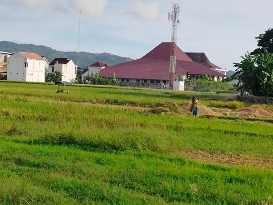 Inovasi Pertanian Pacitan Terus Dijalankan, Regenerasi Petani Masih Menjadi Tantangan