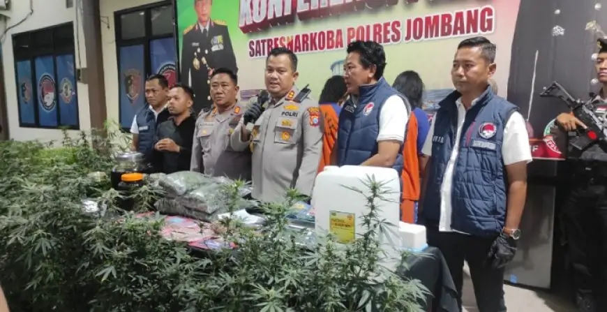 Dibongkar! Jaringan Indoor Ganja Rp6,5 Miliar di Jombang, Suami-Istri Jadi Pemodal
