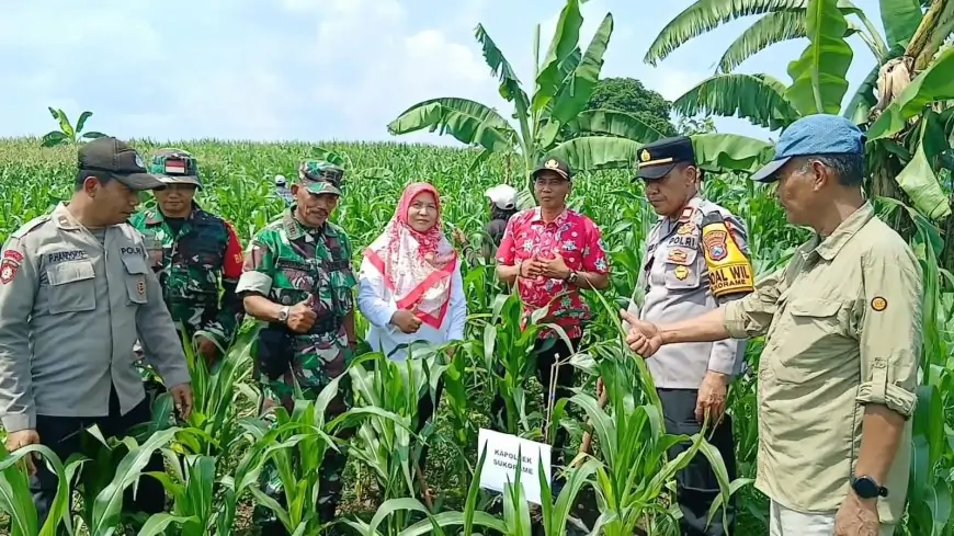 Dukung Asta Cita, Petani Hutan Lamongan Hijaukan 50 Hektar Lahan dengan Tanaman Produktif